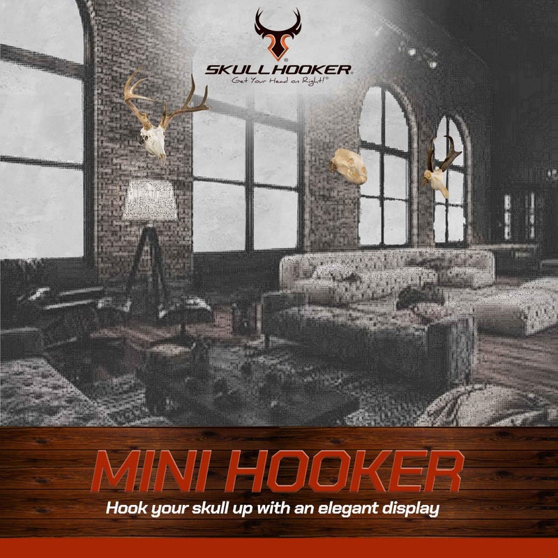 Skull Hooker Mini Hooker Skull Hanger - Perfect Kit for Hanging and Mounting Taxidermy Bear, Small Deer, Pronghorn, and Other Smaller Skulls for Display, Graphite Black - Image 5